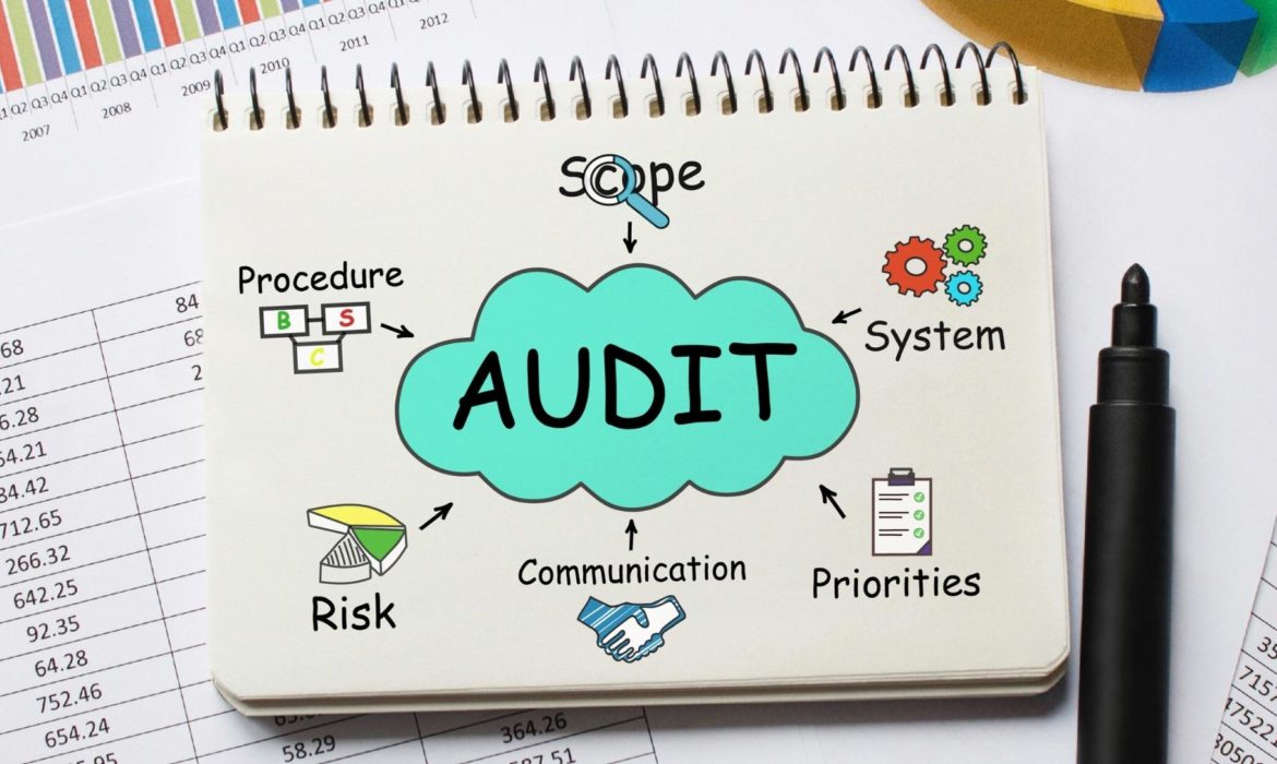 Digital Audit