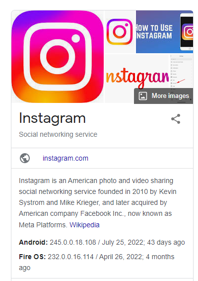 A Guide on Content-Type and Audience on Instagram