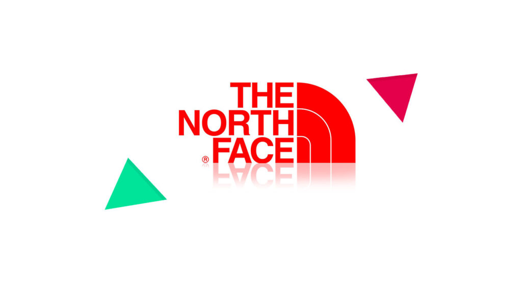 the north face logo