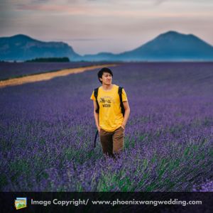 Top 10 Best Photographer In San Francisco, California Phoenix Wang Photography