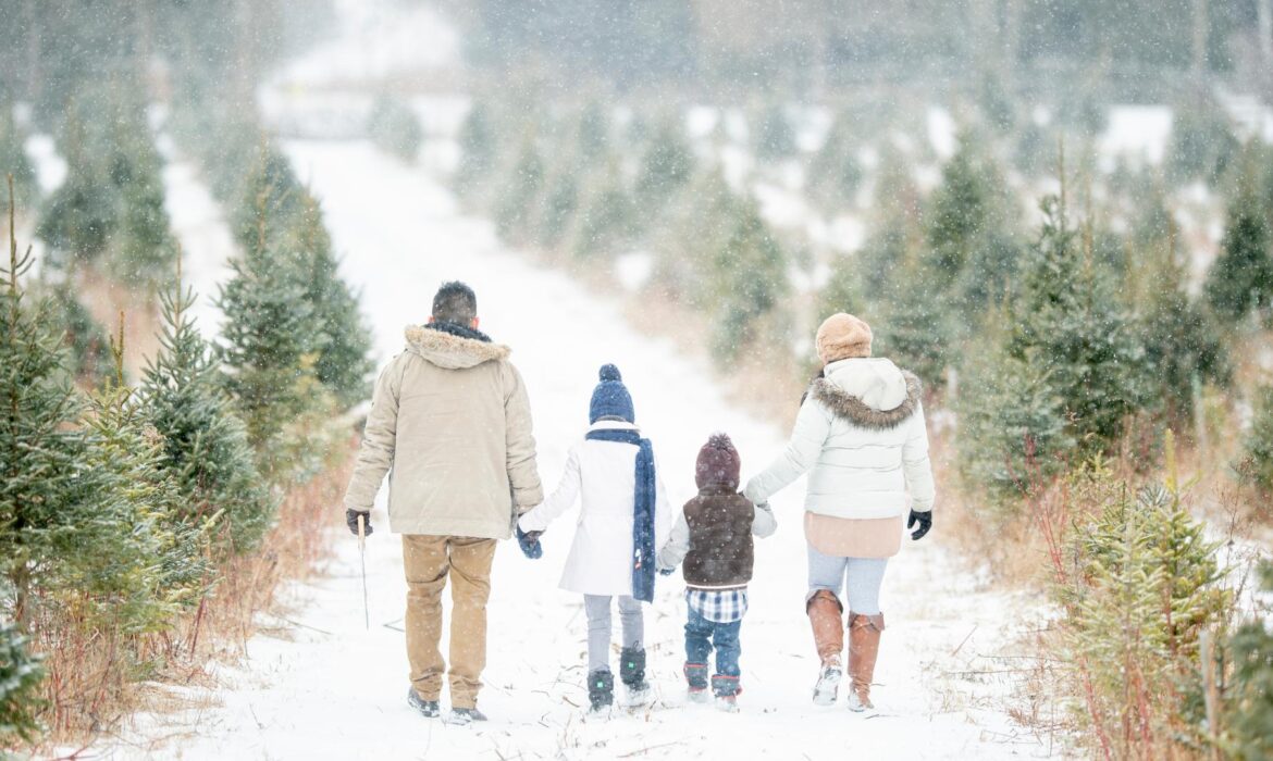 Winter Family Photo Color Schemes Featured Image