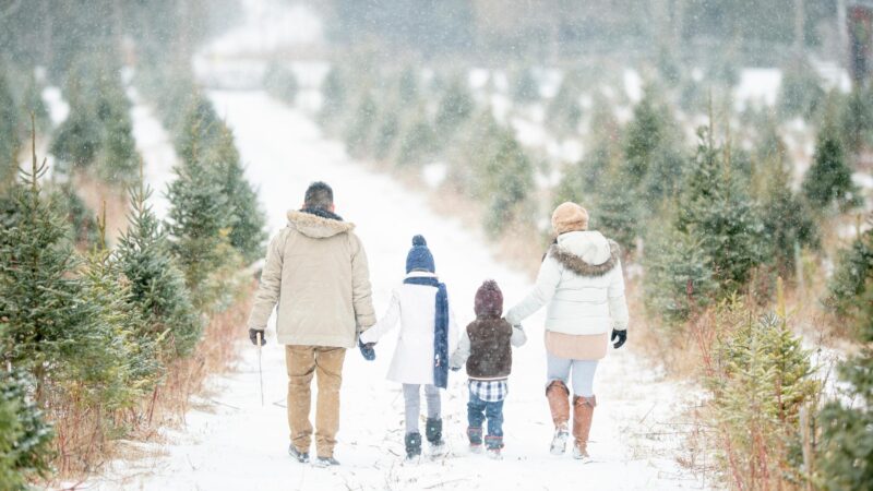 Winter Family Photo Color Schemes Featured Image